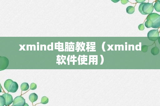 xmind电脑教程（xmind软件使用）