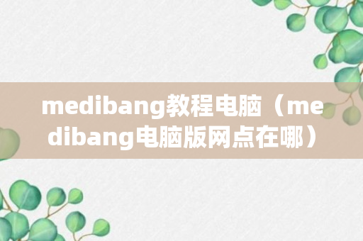 medibang教程电脑（medibang电脑版网点在哪）