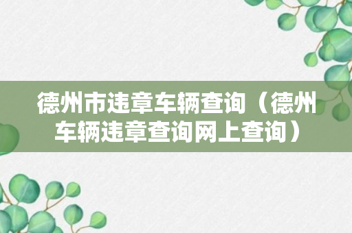 德州市违章车辆查询（德州车辆违章查询网上查询）