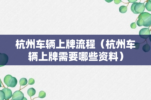 杭州车辆上牌流程（杭州车辆上牌需要哪些资料）