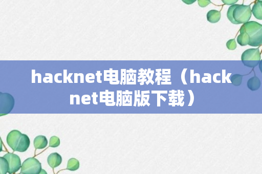 hacknet电脑教程（hacknet电脑版下载）