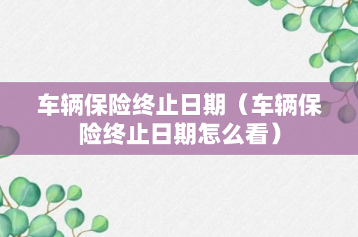 车辆保险终止日期（车辆保险终止日期怎么看）