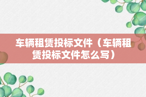 车辆租赁投标文件（车辆租赁投标文件怎么写）