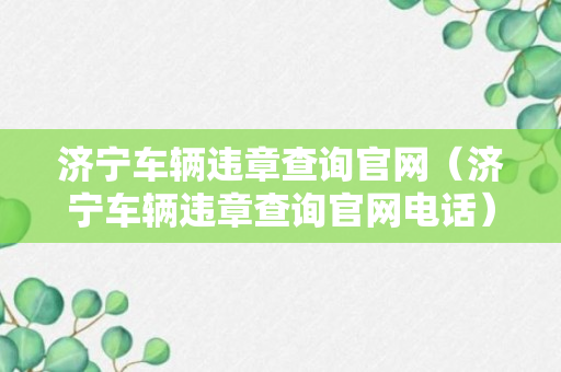 济宁车辆违章查询官网（济宁车辆违章查询官网电话）