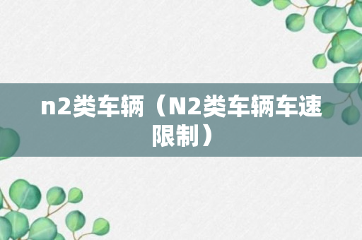 n2类车辆（N2类车辆车速限制）