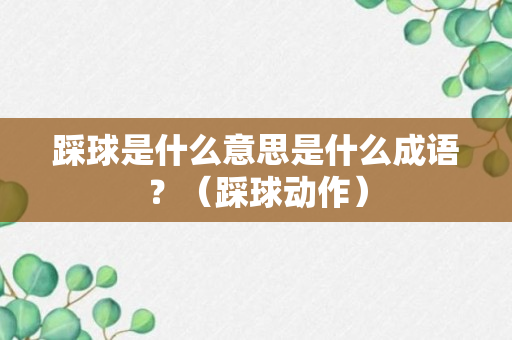 踩球是什么意思是什么成语？（踩球动作）