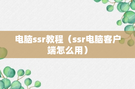 电脑ssr教程（ssr电脑客户端怎么用）