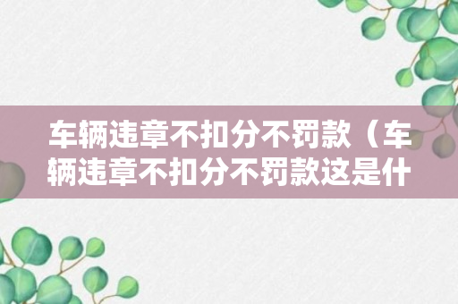 车辆违章不扣分不罚款（车辆违章不扣分不罚款这是什么违章）