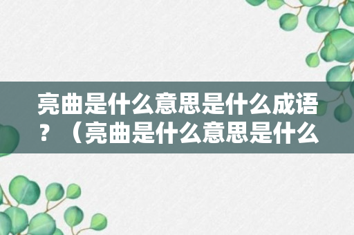 亮曲是什么意思是什么成语？（亮曲是什么意思是什么成语解释）