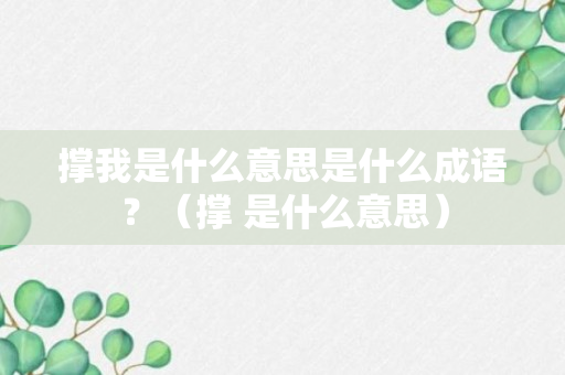 撑我是什么意思是什么成语？（撑 是什么意思）