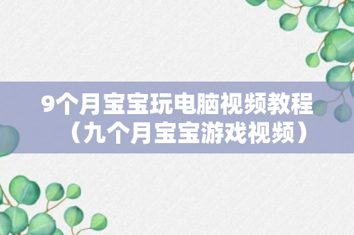 9个月宝宝玩电脑视频教程（九个月宝宝游戏视频）