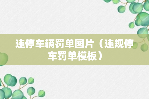 违停车辆罚单图片（违规停车罚单模板）