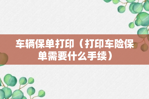 车辆保单打印（打印车险保单需要什么手续）