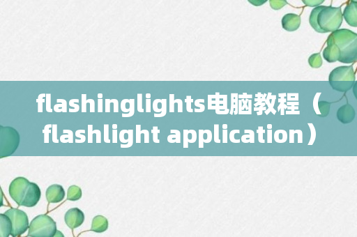 flashinglights电脑教程（flashlight application）