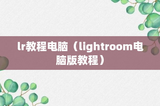 lr教程电脑（lightroom电脑版教程）