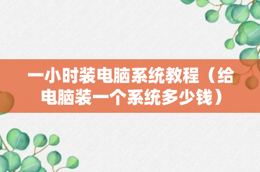 一小时装电脑系统教程（给电脑装一个系统多少钱）