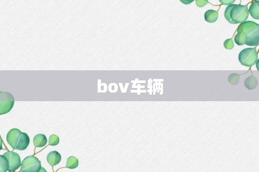 bov车辆