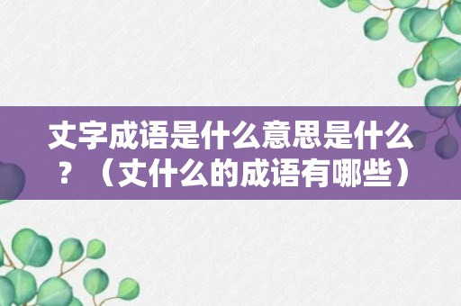 丈字成语是什么意思是什么？（丈什么的成语有哪些）