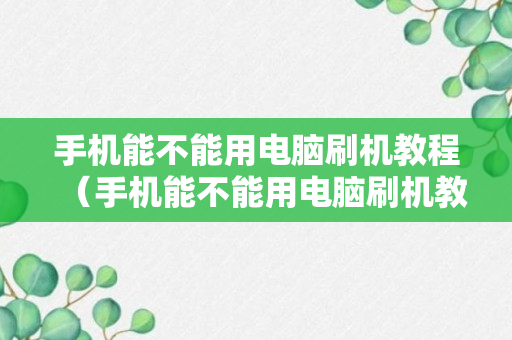 手机能不能用电脑刷机教程（手机能不能用电脑刷机教程下载）