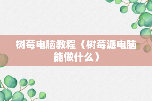 树莓电脑教程（树莓派电脑能做什么）