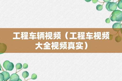 工程车辆视频（工程车视频大全视频真实）