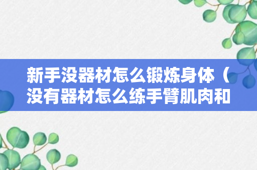 新手没器材怎么锻炼身体（没有器材怎么练手臂肌肉和力量）