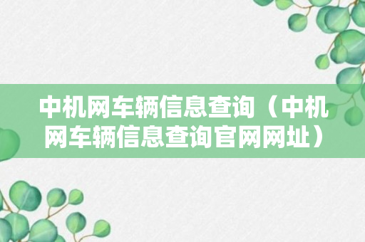 中机网车辆信息查询（中机网车辆信息查询官网网址）