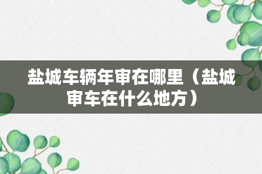 盐城车辆年审在哪里（盐城审车在什么地方）