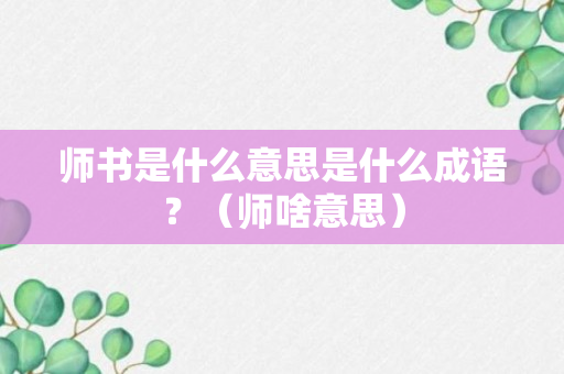 师书是什么意思是什么成语？（师啥意思）