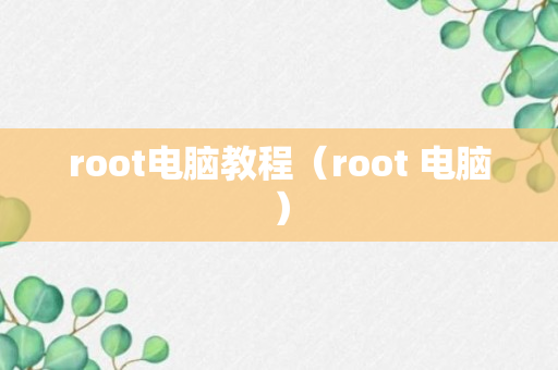 root电脑教程（root 电脑）