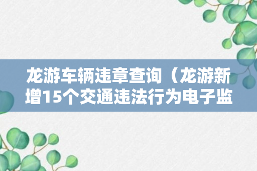 龙游车辆违章查询（龙游新增15个交通违法行为电子监控抓拍点位）