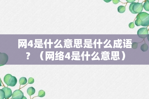 网4是什么意思是什么成语？（网络4是什么意思）