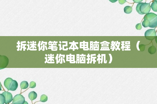 拆迷你笔记本电脑盒教程（迷你电脑拆机）