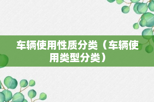 车辆使用性质分类（车辆使用类型分类）