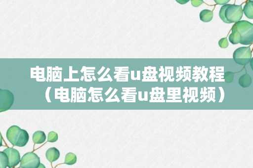 电脑上怎么看u盘视频教程（电脑怎么看u盘里视频）