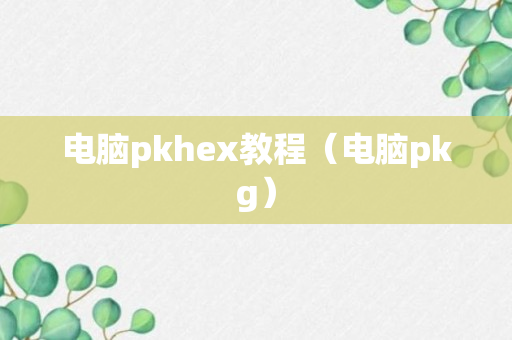 电脑pkhex教程（电脑pkg）