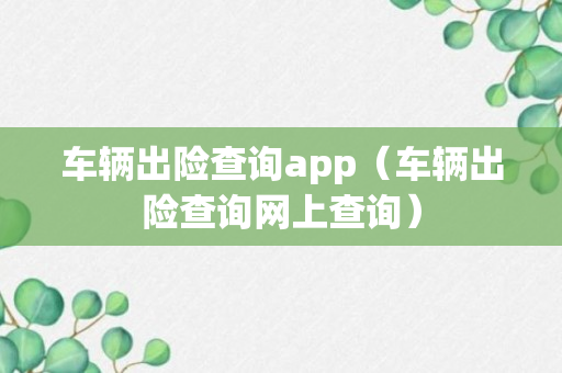 车辆出险查询app（车辆出险查询网上查询）