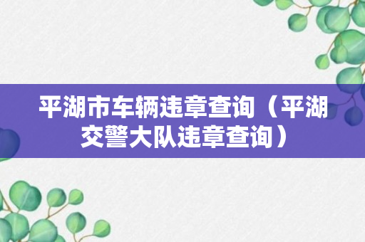 平湖市车辆违章查询（平湖交警大队违章查询）