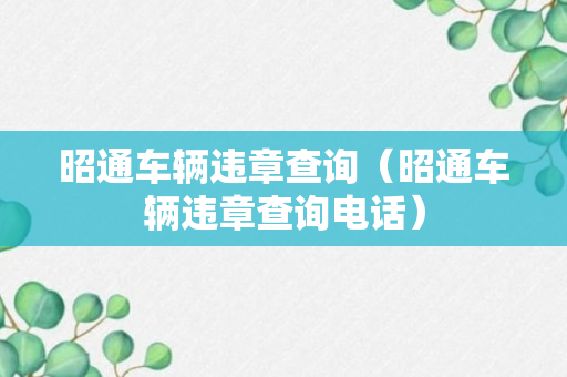 昭通车辆违章查询（昭通车辆违章查询电话）