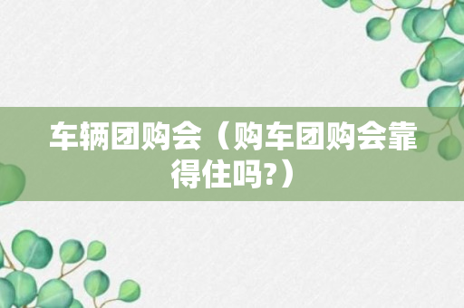 车辆团购会（购车团购会靠得住吗?）