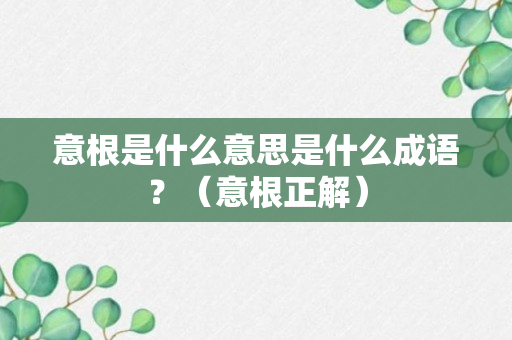 意根是什么意思是什么成语？（意根正解）