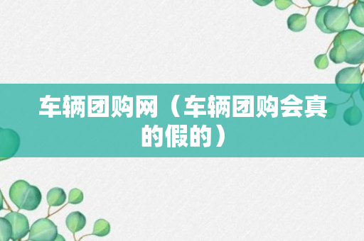 车辆团购网（车辆团购会真的假的）