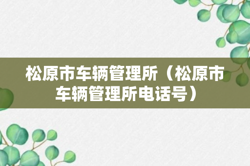 松原市车辆管理所（松原市车辆管理所电话号）